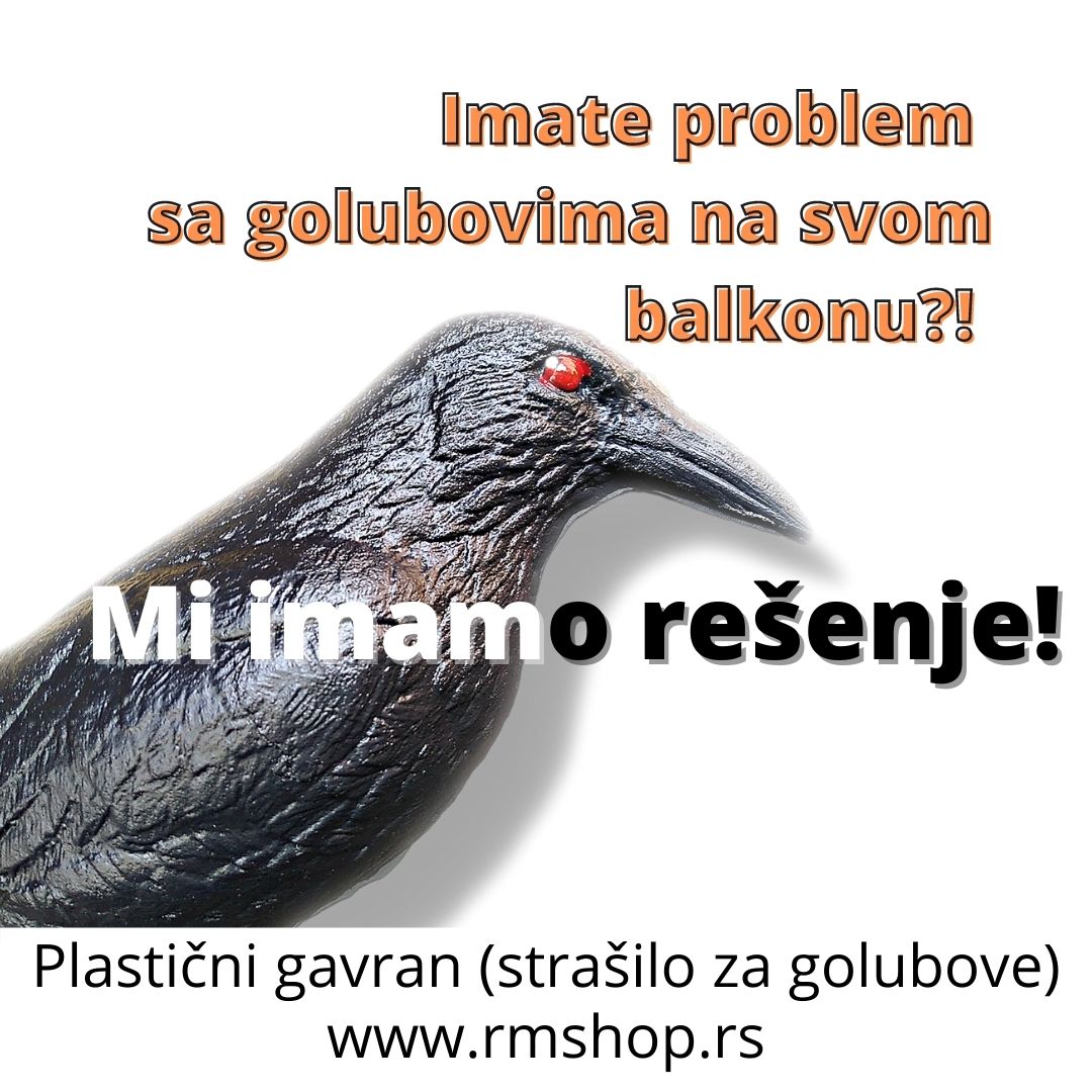 Plastični Gavran - Слика 8