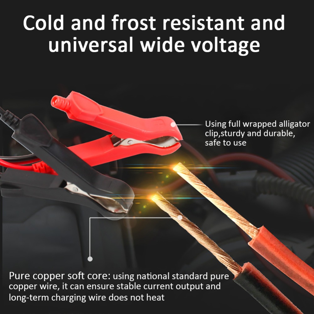Punjač akumulatora - Intelligent smart 6A-12V - Слика 3